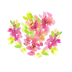 Flowers painted with watercolor in a free style. Pink and green shades. The illustration is isolated on a white background. Can be used for cards, stickers, posters and your other designs.
