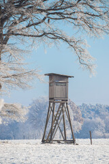 hunting tower bird hawk trees in winter