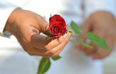 red rose in hand for you