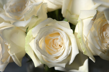 Close-up of a bouquet of white roses in a vase.