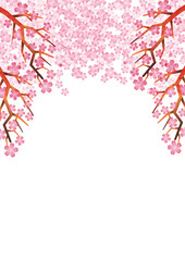 桜