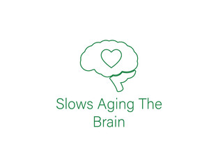 slows aging the brain icon vector illustration 