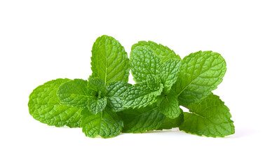 Mint leaves on white background