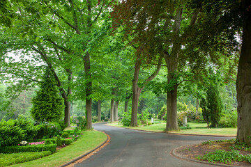Fototapeta na wymiar Tree-lined Paths at Cemetery, Braunschweig, Germany
