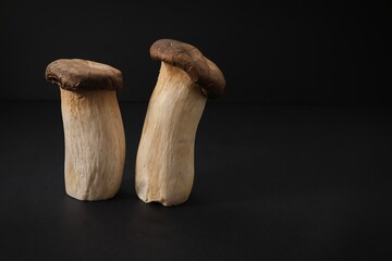 Popular uncooked healthy asian edible King Oyster mushrooms on black background. Asian cuisine.Healthy vegetarian and vegan eating.