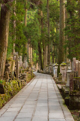 墓地
