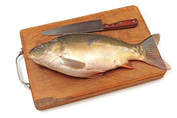 Raw fish carp on white background 