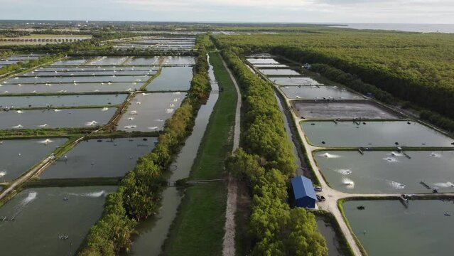 Aerial fly over shrimp or fish farm in evening