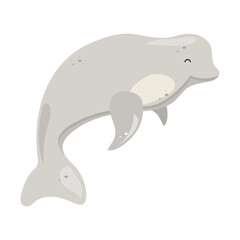 beluga whale isolated
