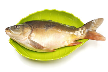 Raw fish carp on white background 