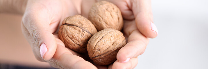 Three ripe walnuts in female hands closeup