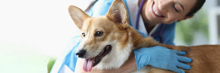 Smiling female veterinarian stroking dog at medical appointment closeup