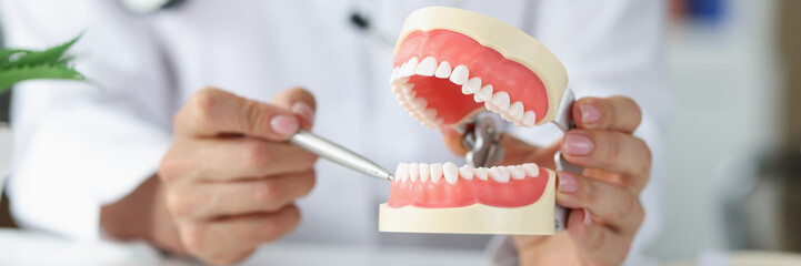 Dentist shows problem areas in teeth on artificial jaw closeup