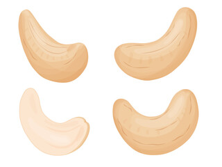 Cashew nuts. Illustration of delicious healthy vegan snack.