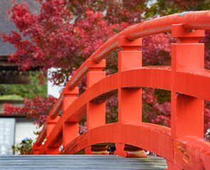 紅葉と橋