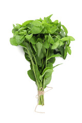 Bunch of mint on white background