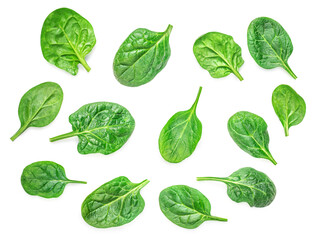 Spinach Collection. Fresh Spinach baby leaves isolated on white background. Top view. Flat lay..