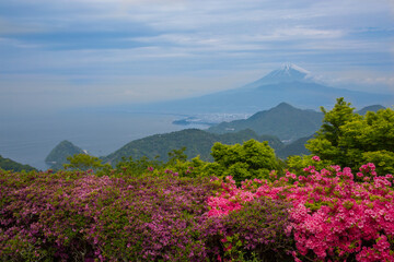 Fototapeta na wymiar 富士山、花