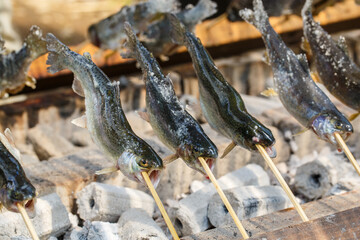 ヤマメ、山女魚、炭焼き、魚