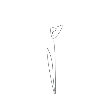 Flower silhouette line drawing vector illustration