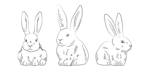 Bunnies, set of linear rabbits in different poses, outline hand drawn hare, isolated on white background. Vector illustration