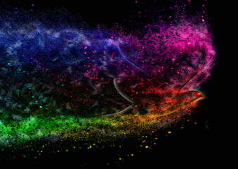 カラフルなしぶきを上げて羽ばたく鳥のイラスト