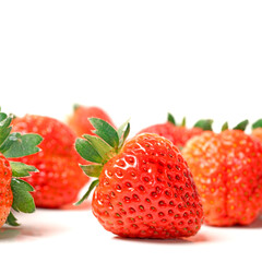 strawberries on white background