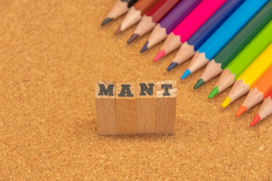 MANT　米国のIT企業大手