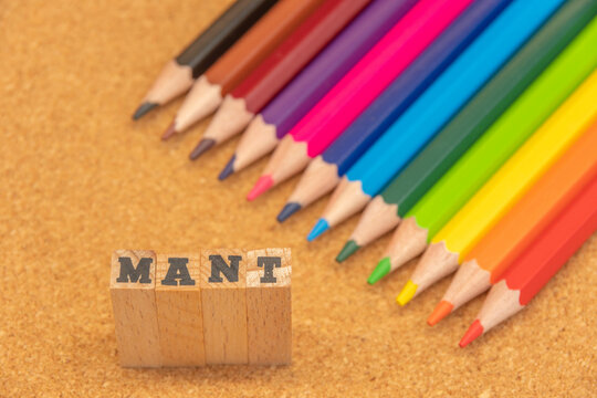 MANT　米国のIT企業大手