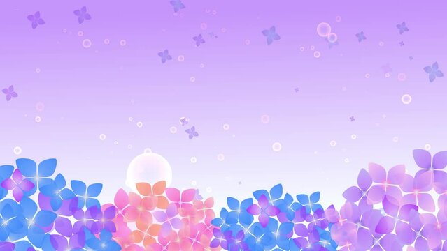 紫陽花と雨空の背景アニメーション