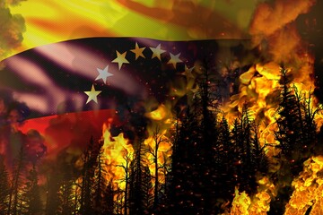 Forest fire natural disaster concept - infernal fire in the trees on Venezuela flag background - 3D illustration of nature