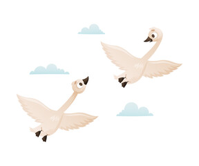 Beautiful swans flying in the sky cartoon vector illustration