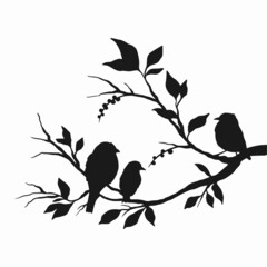 Bird live scene svg