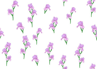 Seamless pattern with Iris flowers, purple and blue irises. Vector illustration Isolated on white background..
