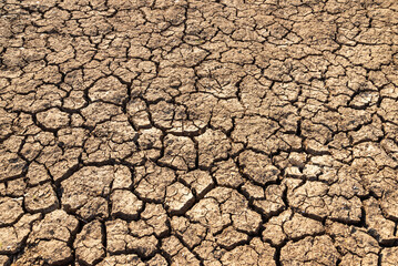 cracked ground