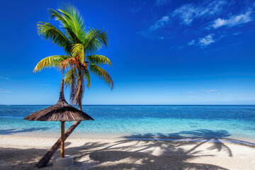Fototapeta na wymiar Tropical Beach. Palm tree and umbrella in paradise sunny beach and blue ocean.