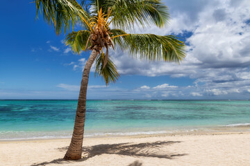 Tropical Sunny Beach. Sandy beach with palms and turquoise sea. Summer vacation and tropical beach concept.	