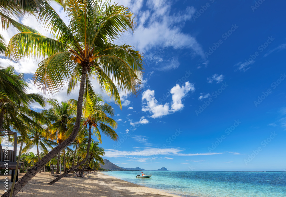 Wall mural paradise beach resort with palm trees and and tropical sea in mauritius island. summer vacation and 