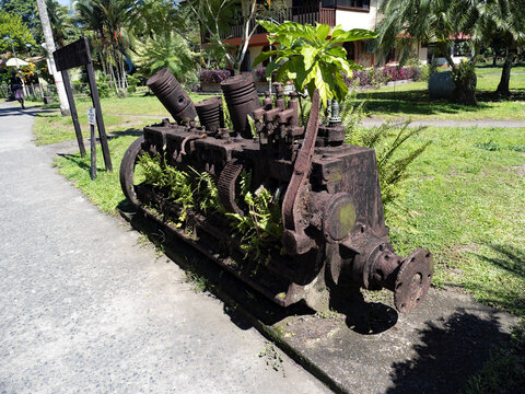 The rusted boat engine serves as a huge flower pot. Costa Rica