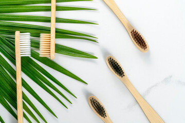 Zero waste, biodegradable bamboo toothbrush on a gray stone concrete countertop with a green palm leaf on the side.