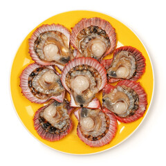 Raw scallop on white background
