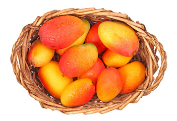 Mango on a white background