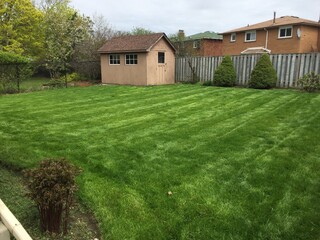 Obraz premium Brampton Home