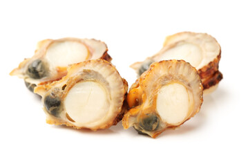 Raw scallop on white background