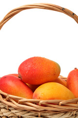 Mango on a white background