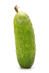 cucumber isolated on white background