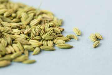 Selective focus of a low-depth-of-field photo of green fennel seeds on a blue background. Fennel is a traditional Indian aromatic seasoning and ingredient of Ayurvedic food