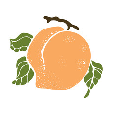 Orange colour peach surrounded by green leaves hanging on brown tree branch