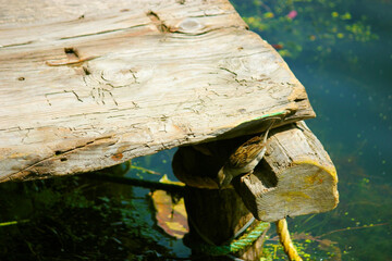 traveling with nature fun and learn more and more.