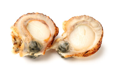 Raw scallop 